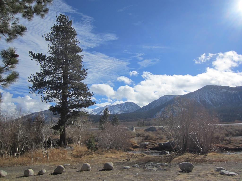 Mammoth Creek Condos Mammoth Lakes Buitenkant foto
